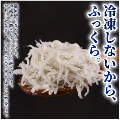 【駿河湾(牧之原市相良沖)産 釜揚げしらす】鮮度に自信あり!産地直送!1パック(約155g)