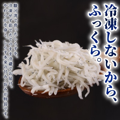 【駿河湾(牧之原市相良沖)産 釜揚げしらす】鮮度に自信あり!産地直送!125g×4パック