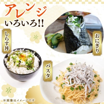 【駿河湾(牧之原市相良沖)産 釜揚げしらす】鮮度に自信あり!産地直送!125g×4パック