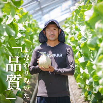【毎月定期便】【組合直送】こだわりぬいた「品質」のアローマメロン 1玉(約1.3kg)全6回