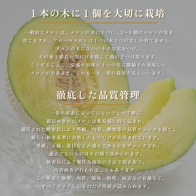 【毎月定期便】【組合直送】こだわりぬいた「品質」のアローマメロン 1玉(約1.3kg)全6回