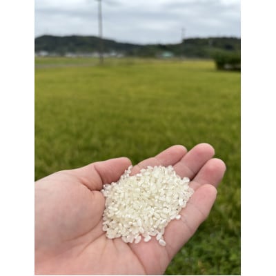 至高のミルキークイーン(白米)10kg