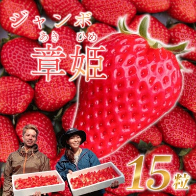 26年12月より発送予定【先行予約】【いちご】15 粒×2パック 900g ジャンボ章姫(あきひめ)