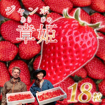 《26年12月～27年3月発送予定》【先行予約】【いちご】18粒×2パック 900g ジャンボ章姫