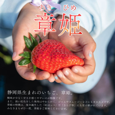 《26年12月～27年3月発送予定》【先行予約】【いちご】18粒×2パック 900g ジャンボ章姫