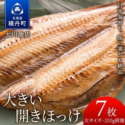 大きい 開きほっけ 7枚 セット <大川商店> ホッケ ほっけ 干物 冷凍 北海道産