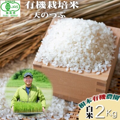 【令和6年産】南相馬・根本有機農園JAS有機米天のつぶ2kg(白米)【3004201】