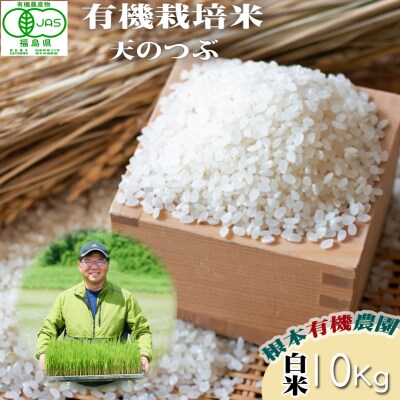 【令和6年産】南相馬・根本有機農園JAS有機米天のつぶ10kg(白米)【3004401】