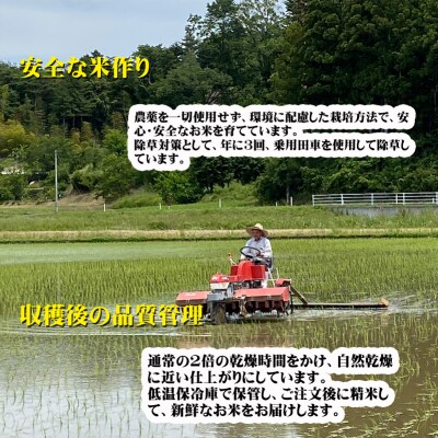 【令和6年産】南相馬・根本有機農園JAS有機米天のつぶ10kg(白米)【3004401】