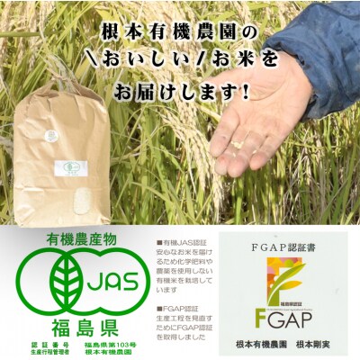 【令和6年産】南相馬・根本有機農園JAS有機米天のつぶ10kg(白米)【3004401】