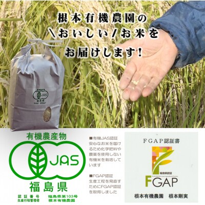 【令和6年産】南相馬・根本有機農園JAS有機米天のつぶ2kg(玄米)【3004501】