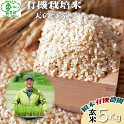 【令和6年産】南相馬・根本有機農園JAS有機米天のつぶ5kg(玄米)【3004601】