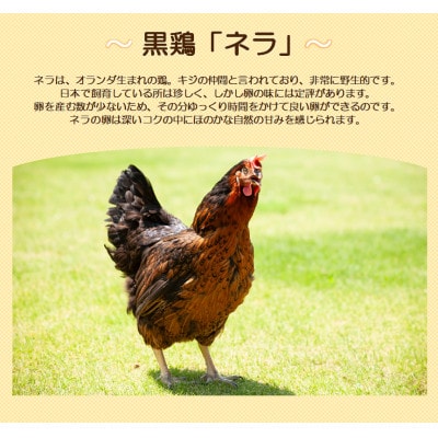 水野谷鶏卵店　黒鶏の卵　20個入り(Mサイズ)