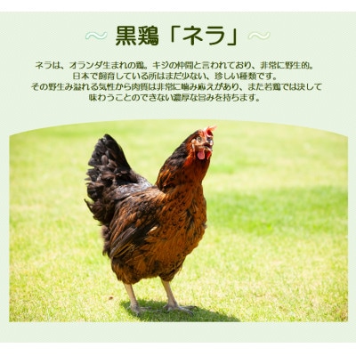 【生冷凍】黒鶏のやきとり20本