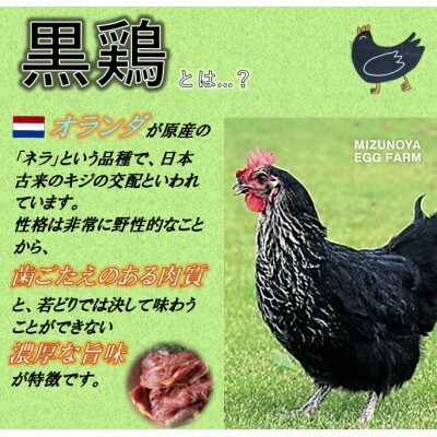 黒鶏のお惣菜セット(やきとり10本+ソーセージ5本、つくね(蒸)400g+ナゲット480g)