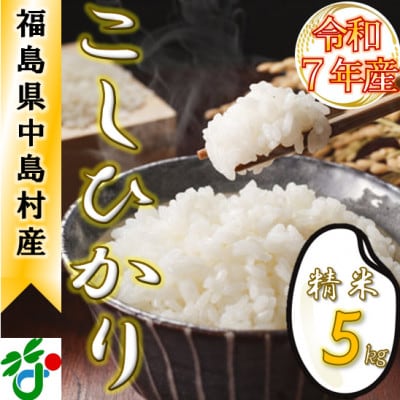 【数量限定/令和7年産】中島村産『コシヒカリ』(精米)5kg
