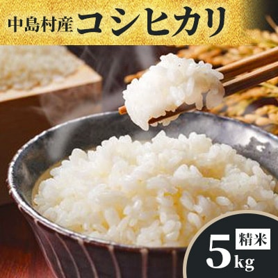 【令和7年産】中島村産『コシヒカリ』(精米)5kg