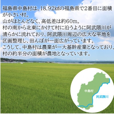 【数量限定/令和7年産】中島村産『コシヒカリ』(精米)5kg