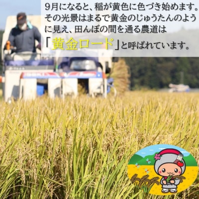 【数量限定/令和7年産】中島村産『コシヒカリ』(精米)5kg