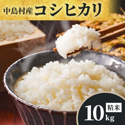 【数量限定/令和7年産】中島村産『コシヒカリ』(精米)10kg