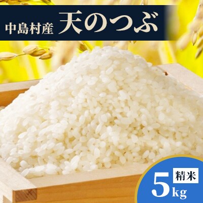 【令和7年産】中島村産『天のつぶ』(精米)5kg