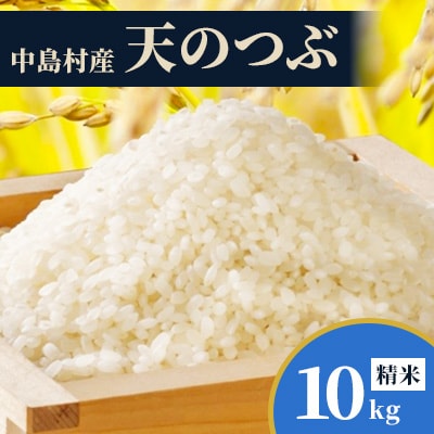 【数量限定/令和7年産】中島村産『天のつぶ』(精米)10kg