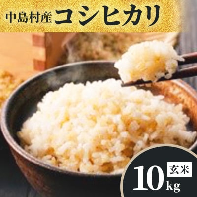 【数量限定/令和7年産】中島村産『コシヒカリ』(玄米)10kg