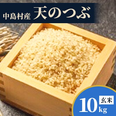 【数量限定/令和7年産】中島村産『天のつぶ』(玄米)10kg
