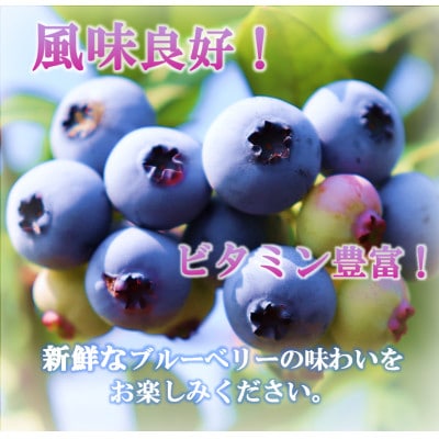 【先行予約/冷蔵】ブルーベリー1kg(OP1)