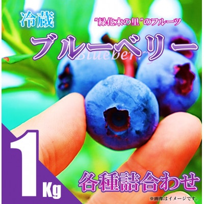 【先行予約/冷蔵】ブルーベリー1kg(各種詰合せ)