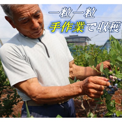 【先行予約/冷蔵】ブルーベリー1kg(各種詰合せ)
