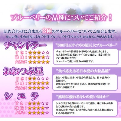 【先行予約/冷蔵】ブルーベリー1kg(各種詰合せ)