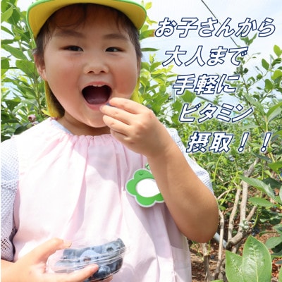 【先行予約/冷蔵】ブルーベリー1kg(各種詰合せ)