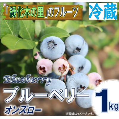 【先行予約/冷蔵】ブルーベリー1kg(オンズロー)