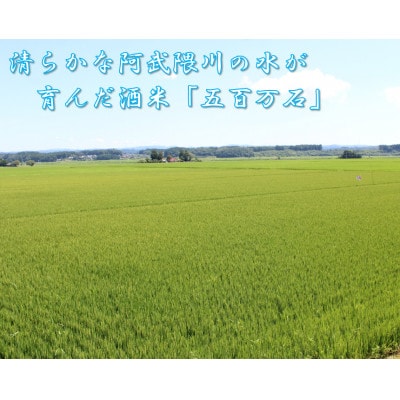 【先行予約】【純米生原酒】熟酔四合瓶 1本