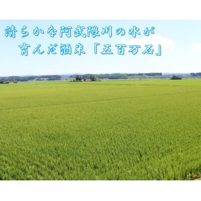 【先行予約】【純米生原酒】熟酔四合瓶 2本