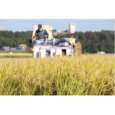 【先行予約】【純米生原酒】熟酔四合瓶 2本