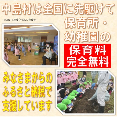 【返礼品なし】子育て世帯を応援!!(寄附額10,000円)