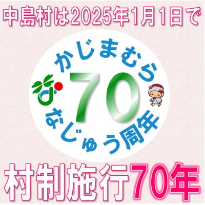 【返礼品なし】中島村の応援をお願いします!(寄附額10,000円)
