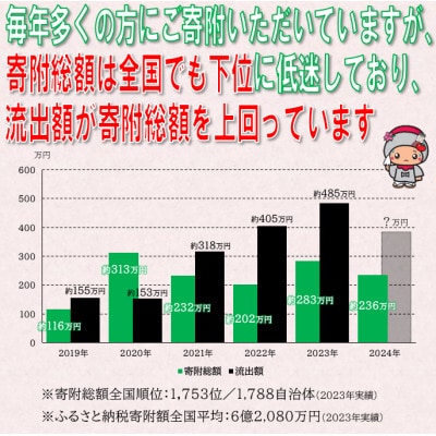 【返礼品なし】中島村の応援をお願いします!(寄附額10,000円)