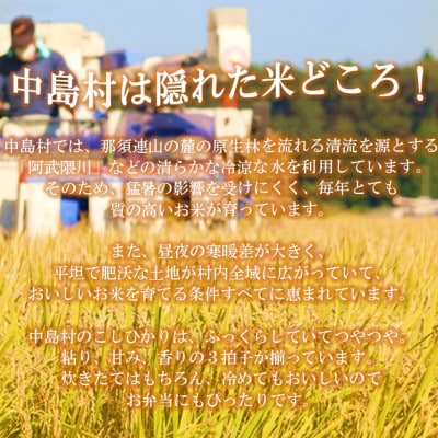 令和8年産 中島村産 コシヒカリ 精米 10kg