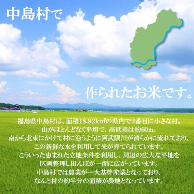 令和8年産 中島村産 コシヒカリ 精米 10kg