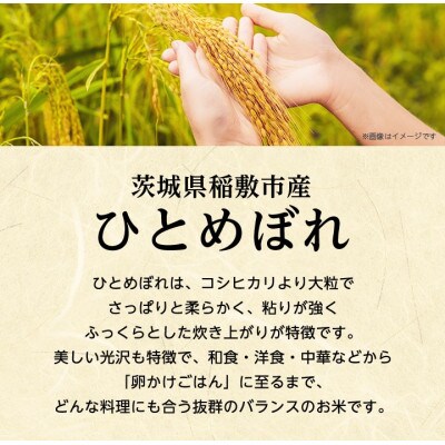 【令和4年産】稲敷産ひとめぼれ10kg(5kg×2)(精米)