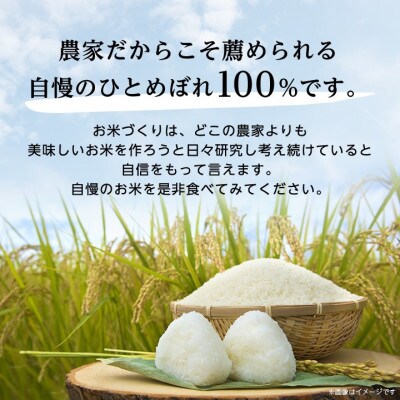 【令和4年産】稲敷産ひとめぼれ10kg(5kg×2)(精米)