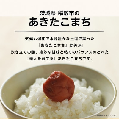 【令和6年産】稲敷市産あきたこまち精米20kg(10kg×2袋)