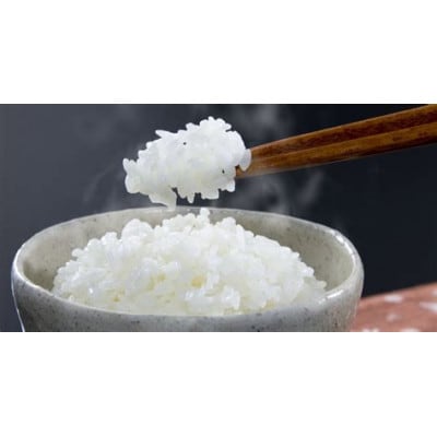 【令和6年産】稲敷市産あきたこまち精米20kg(10kg×2袋)