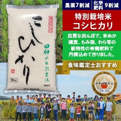 【令和6年産】特別栽培米 田仲のこしひかり10kg(5kg×2袋)