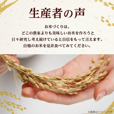 【令和5年産】稲敷市産にじのきらめき精米10kg(5kg×2袋)