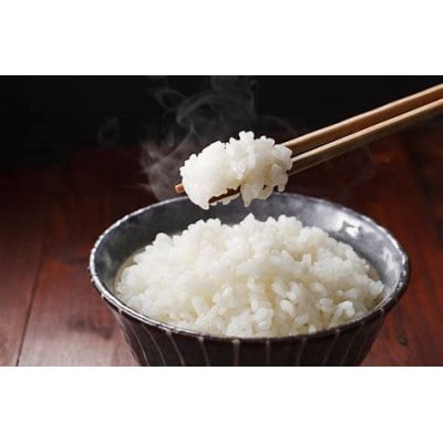 【令和5年産】稲敷市産にじのきらめき精米10kg(5kg×2袋)