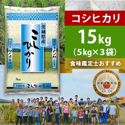 【令和7年産】茨城県産 コシヒカリ 精米 15kg(5kg×3袋)